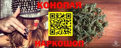 кокс Кингисепп
