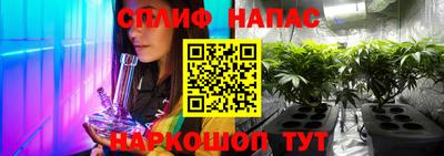 ешки Кинель