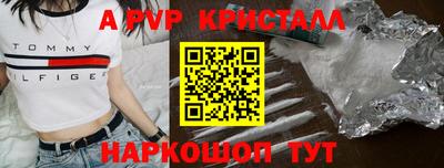 кокс Кингисепп