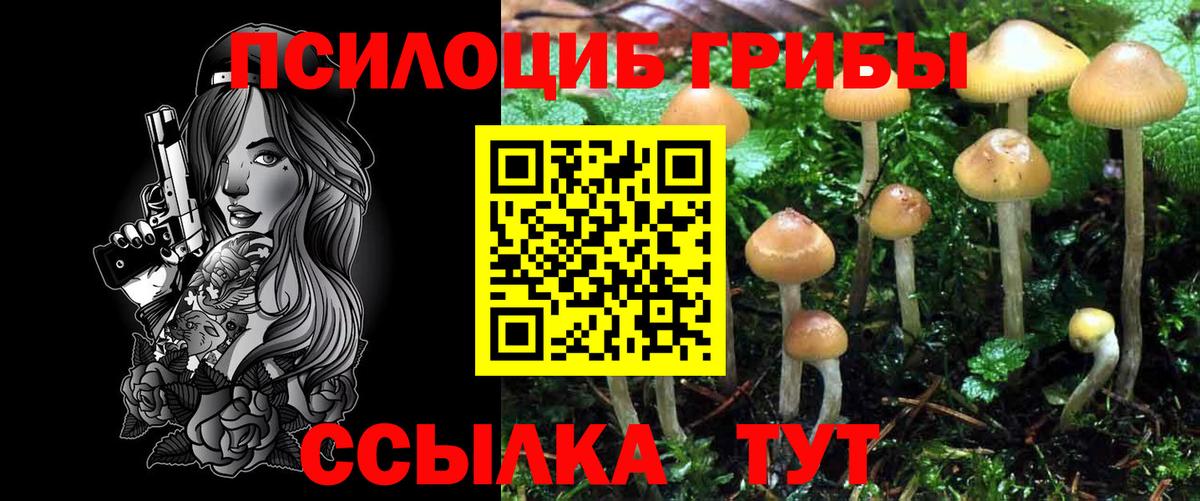 Галлюциногенные грибы мицелий  Псилоцибиновые грибы MAGIC MUSHROOMS  Вход с VPN  Куйбышев 
